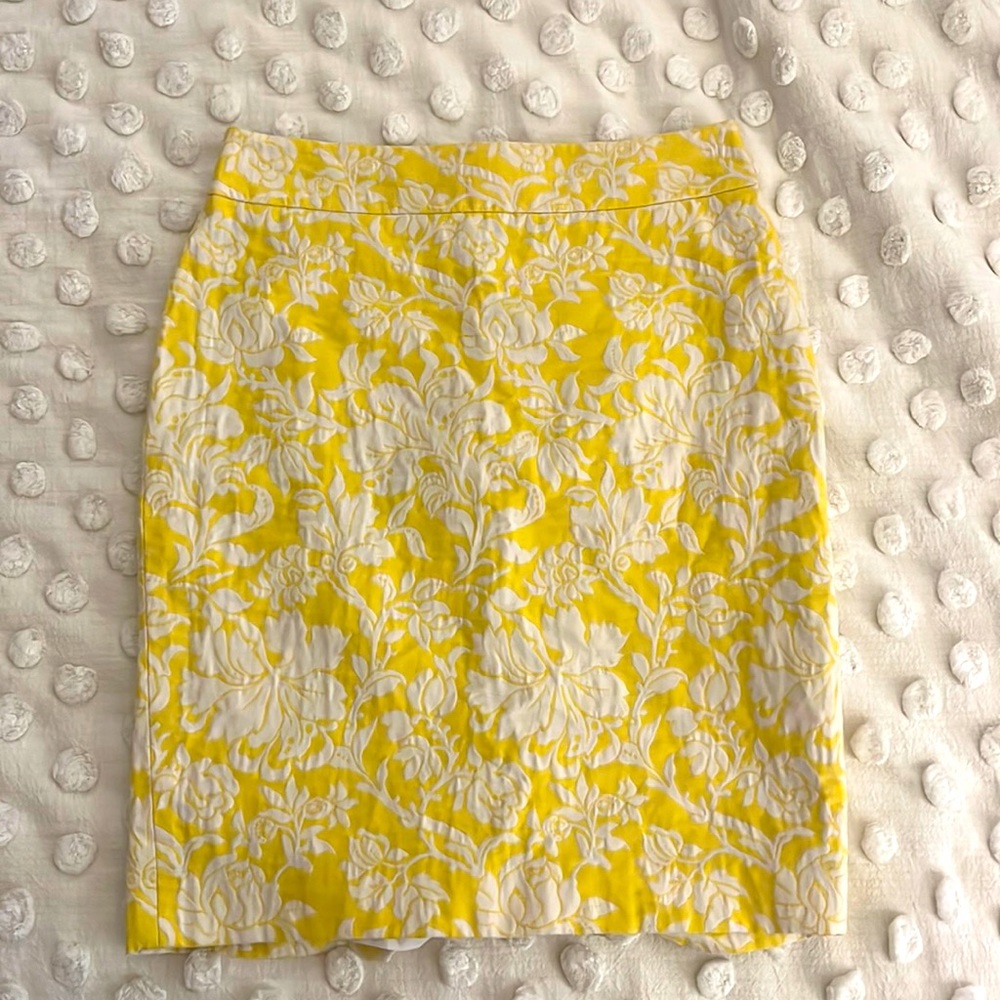 Ann Taylor Pencil Skirt